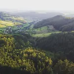 Guest house Landgasthof 