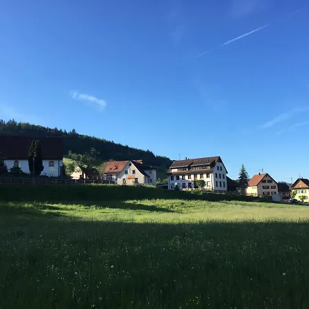 Guest house Freiaemter Hof 3*